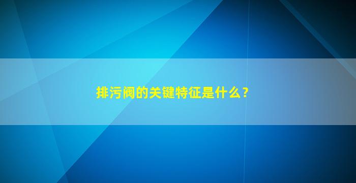 排污阀的关键特征是什么？