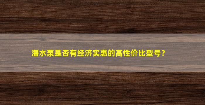 潜水泵是否有经济实惠的高性价比型号？