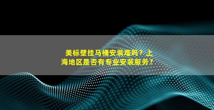 美标壁挂马桶安装难吗？上海地区是否有专业安装服务？