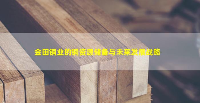 金田铜业的铜资源储备与未来发展战略