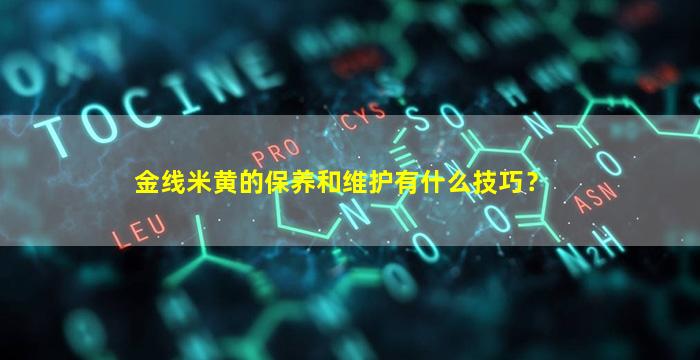 金线米黄的保养和维护有什么技巧？