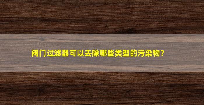 阀门过滤器可以去除哪些类型的污染物？